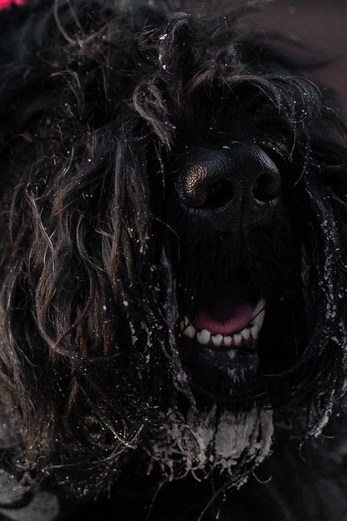 Фотопрогулка завод Арма. Фотограф-анималист Татьяна Степанова