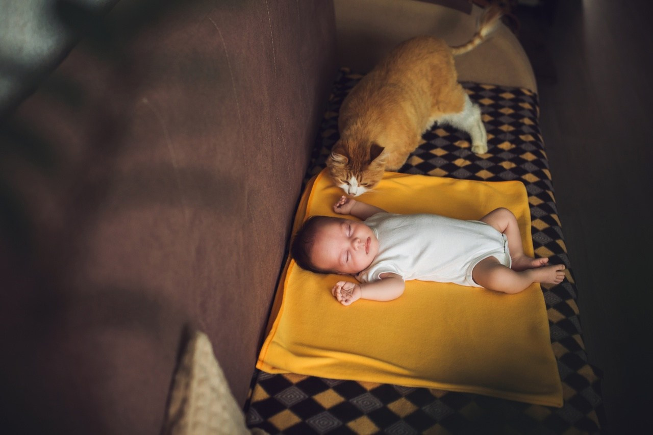 Листарова Анна семейный фотограф