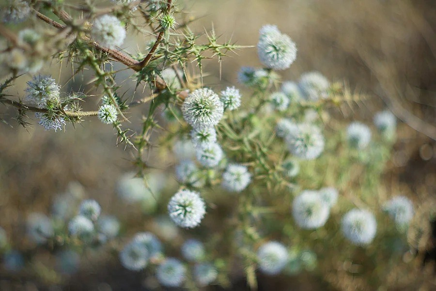 Путешествия. Фотограф Ирина Абзалова
