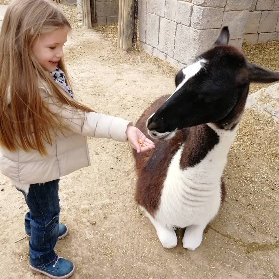 Anka`s Instagram. Заставка