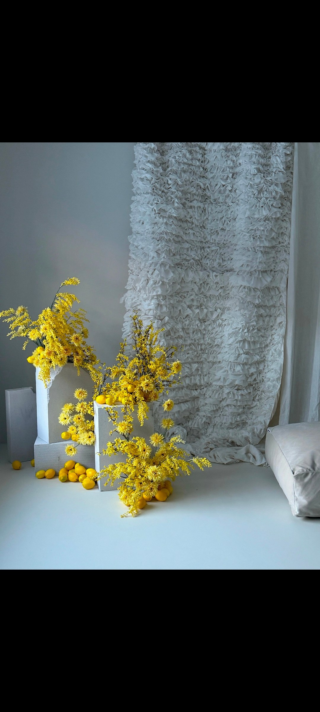 Все фотостудии в Твери. Свадебный и семейный фотограф в Твери и Тверской области