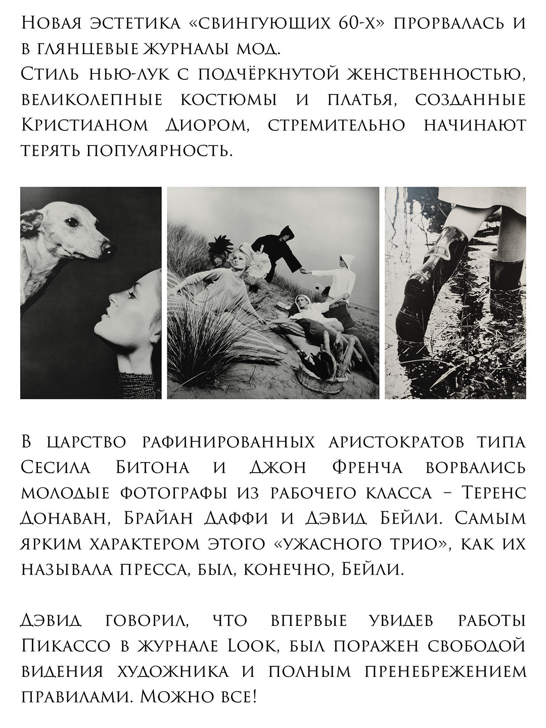 ДЭВИД БЕЙЛИ. Ирина Князева | фотограф | Москва