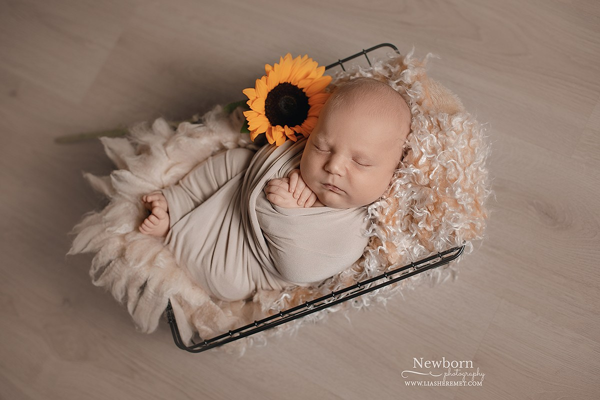 фотосъемка новорожденных в санкт петербурге, фотограф ньюборн спб, фотограф детский, выписка из роддома, детская регистрация, фотограф на выписку, съемка детей новорожденных, какой роддом выбрать