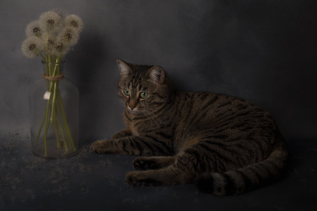 Разное. Фотограф Александр Чазов