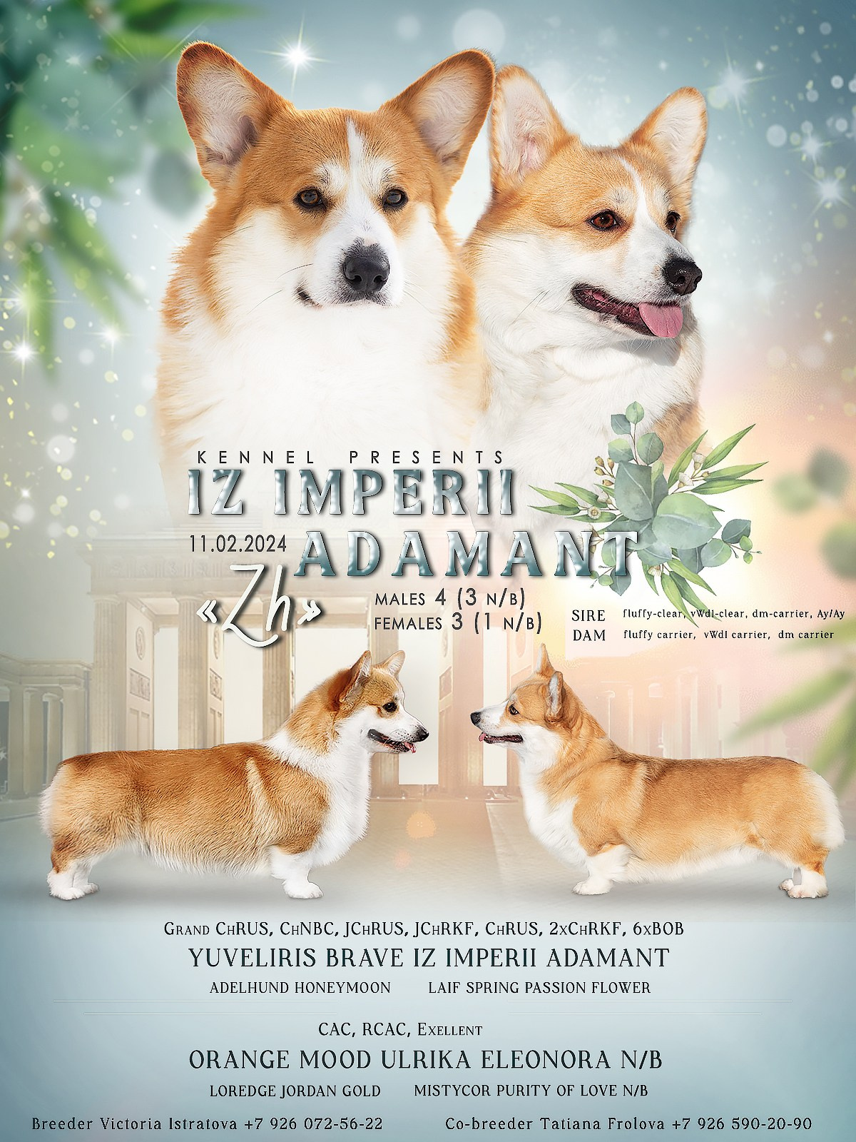 Презентации. Фотограф — анималист в Туле Юлия Лето