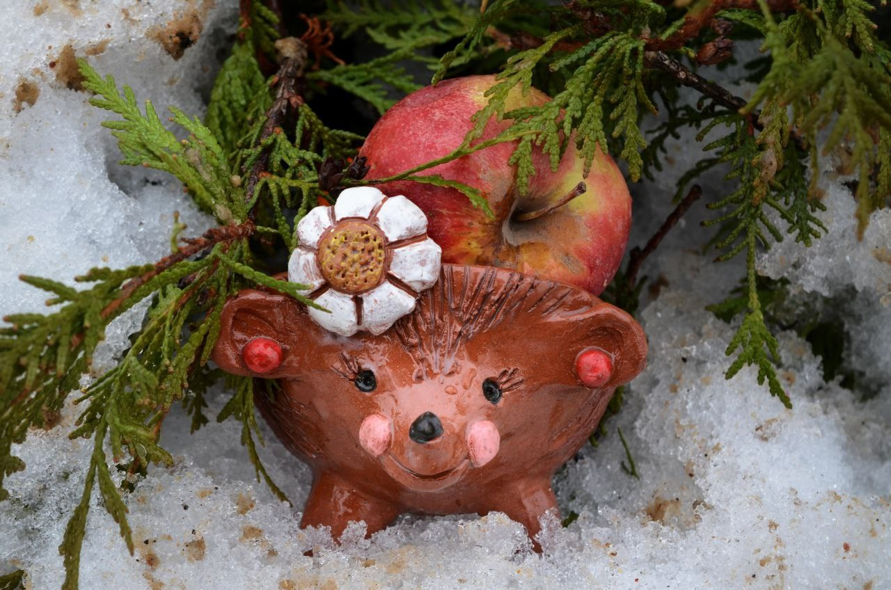 Студия керамики. Изостудия «Мы рисуем!» ♥ Южное Бутово, Москва