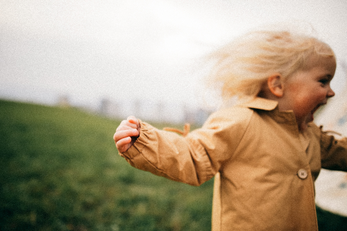 Поймай ветер за хвост. Соня Черных (sophieblack)