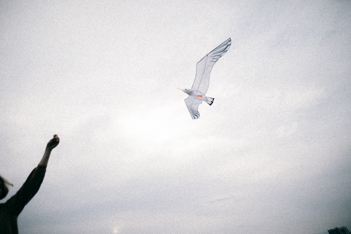 Поймай ветер за хвост. Соня Черных (sophieblack)