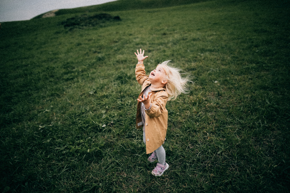 Поймай ветер за хвост. Соня Черных (sophieblack)