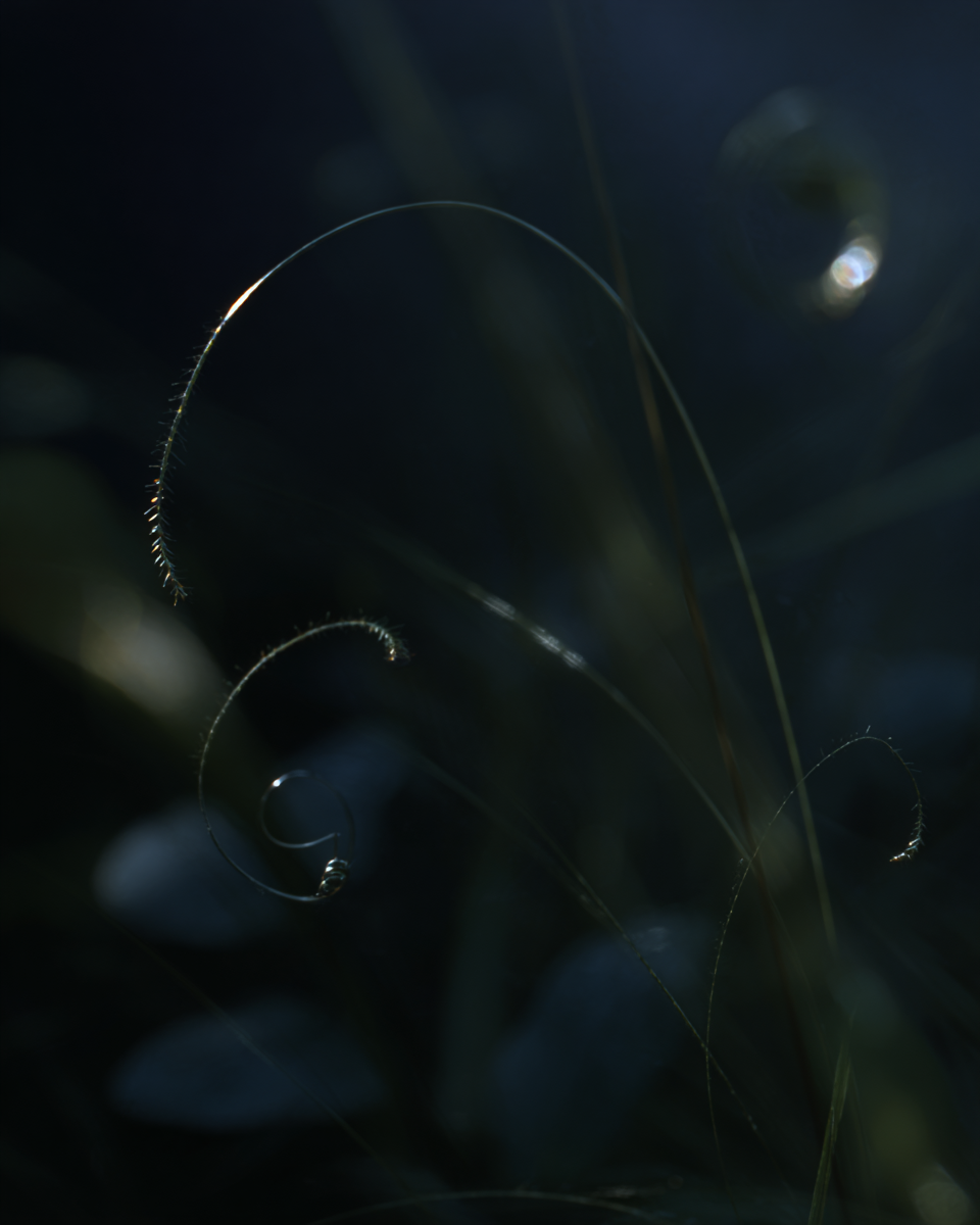 AI проекты. Фотограф Марина Гранкина