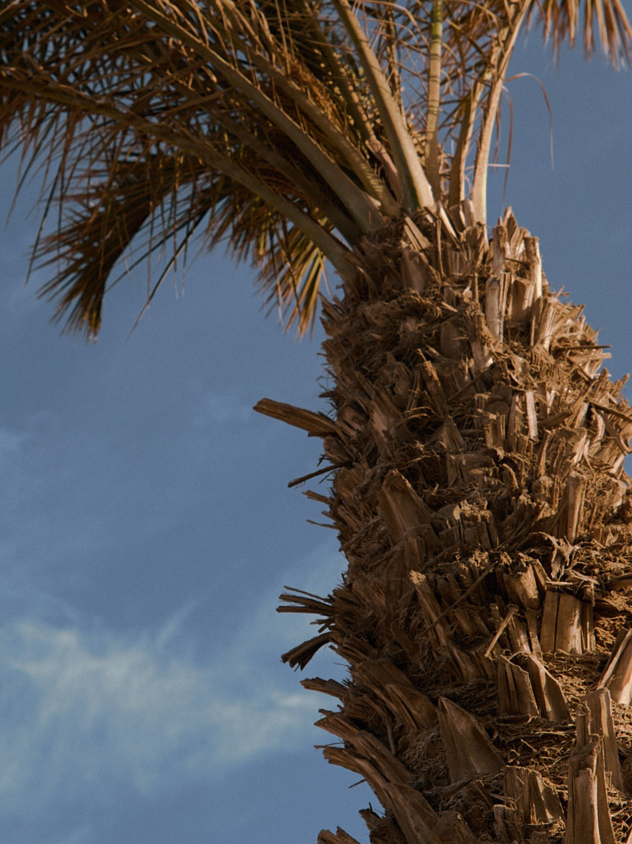 Диптих. Jorgis — фотограф в Хургаде / обучение фотографии