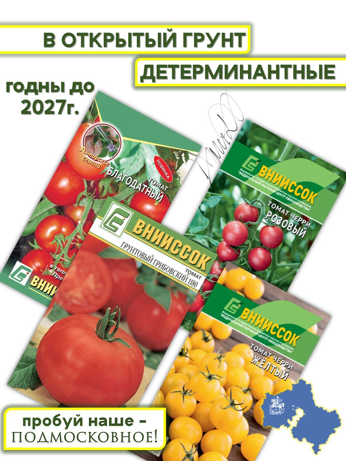 Инфографика. Фотограф в Москве Дмитровская Дарья