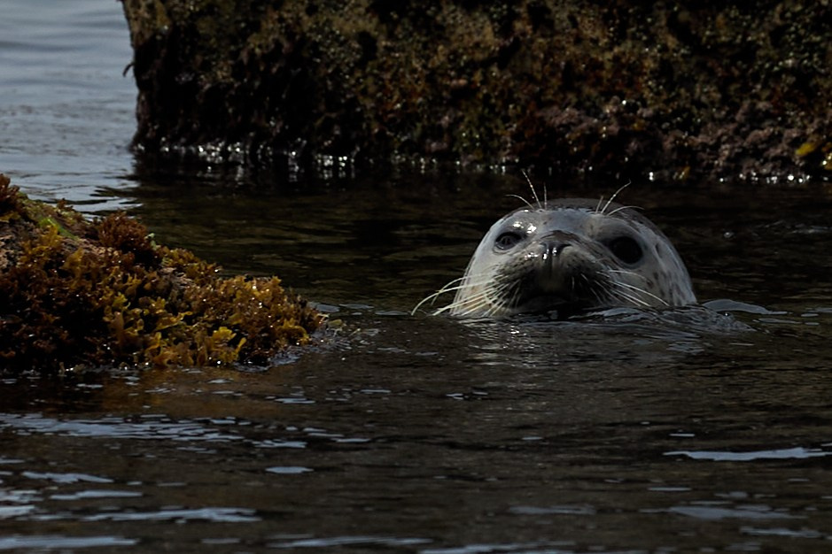 Пейзаж. Репортажный Фотограф во Владивостоке и России Осипчук Дмитрий