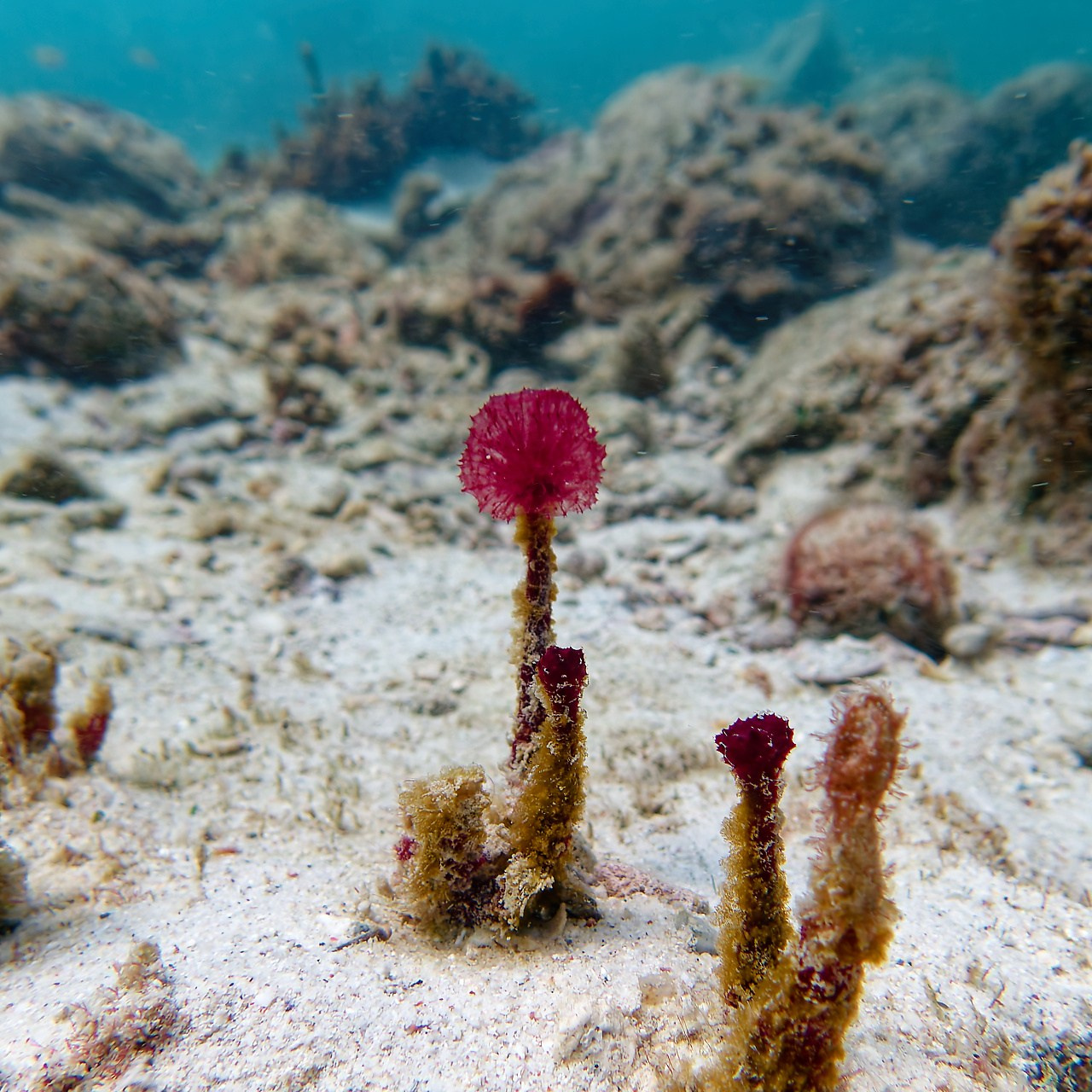 Мне посмотреть. Рыбов показываю
