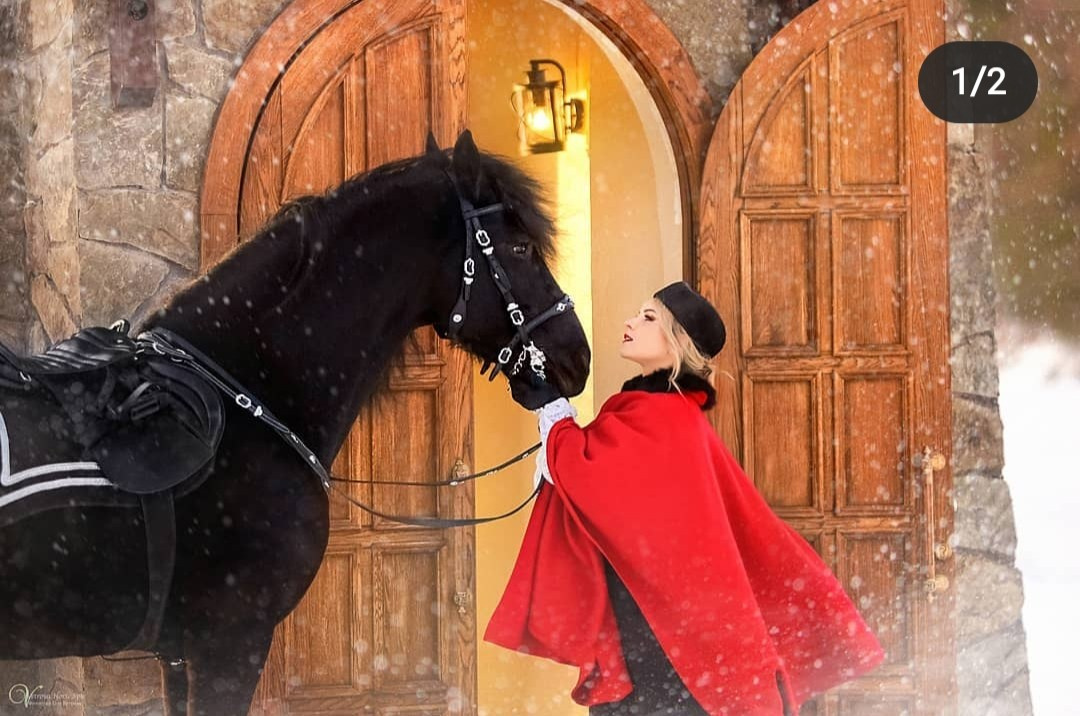 Фотосессии с лошадьми зимой. Фотограф женский и мужской портрет Санкт-Петербург