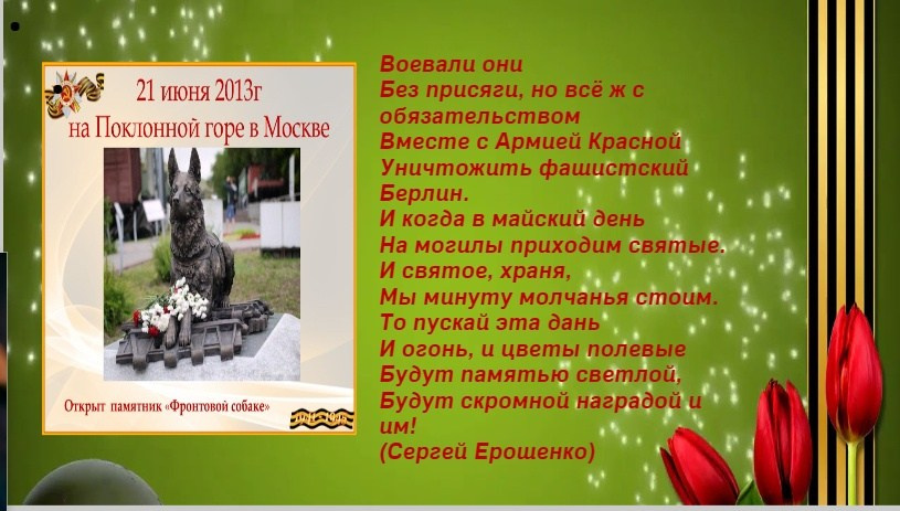 Мероприятия для юных кинологов — «Помним их имена», «Портрет фронтовой собаки». НРОО КЦ "Собаковод"