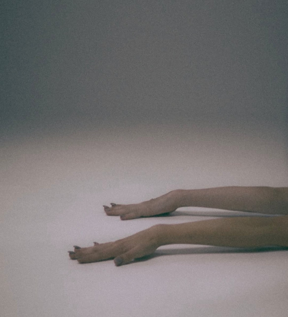 Виолетта Скрипка