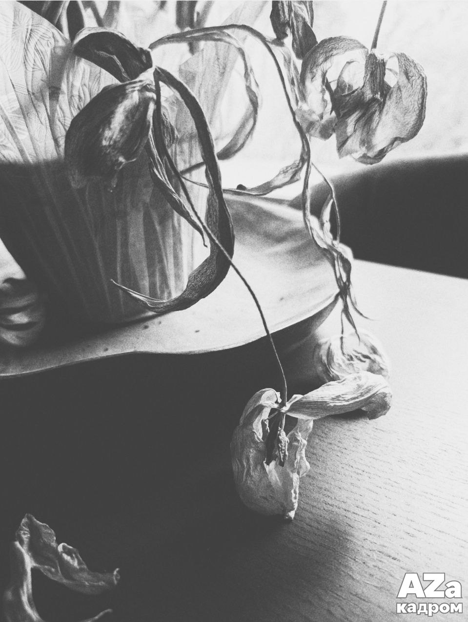 AZакадром «Что для меня дом». Женский семейный фотограф Тула Москва Захарова Анна