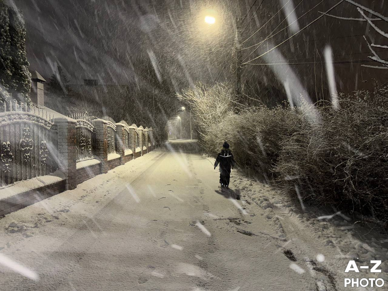 #ФОТОНЕДЕЛИ 05.01.2026. Женский семейный фотограф Тула Москва Захарова Анна