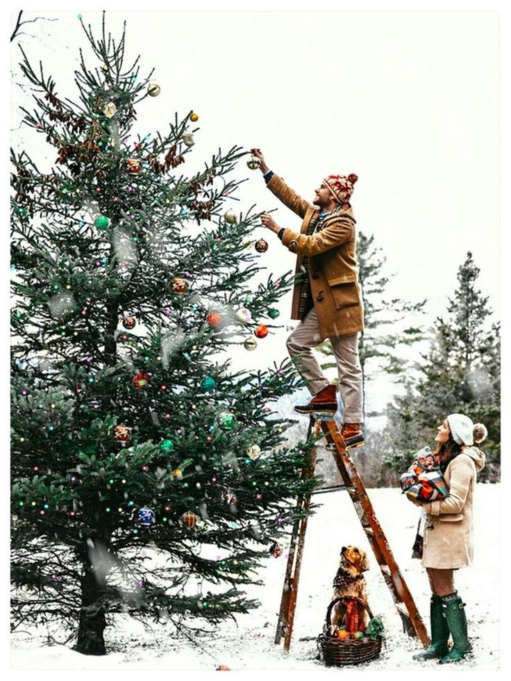 С собачками. Семейный и свадебный фотограф в Минске Юлия Грин