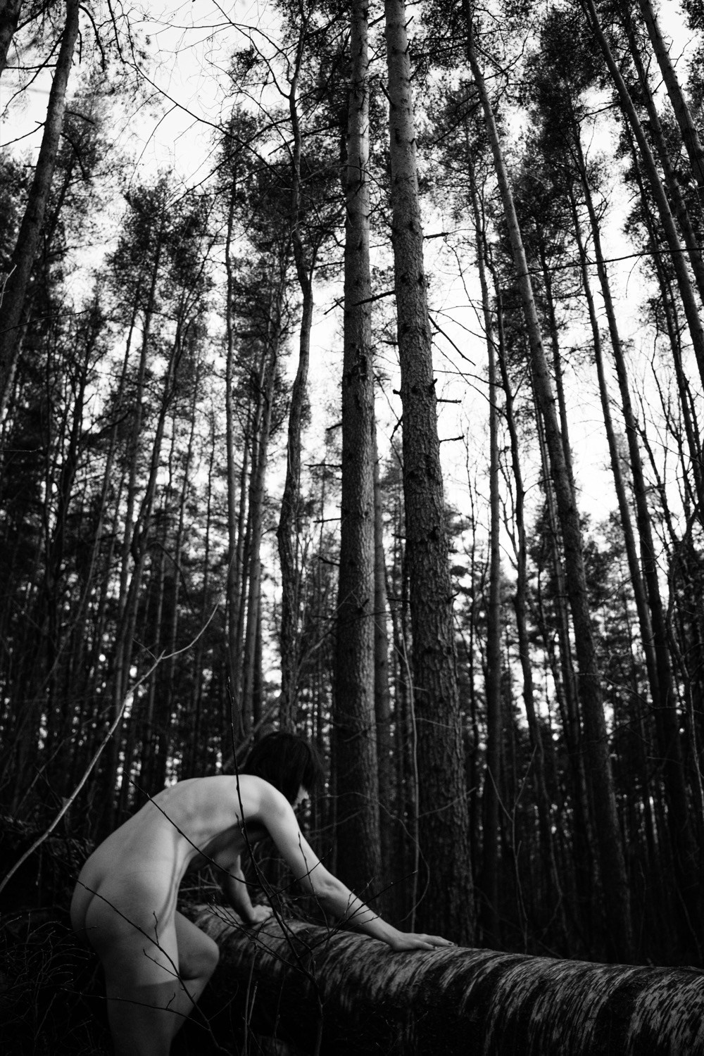 Wandering. ✨misha khazov • photography • performance