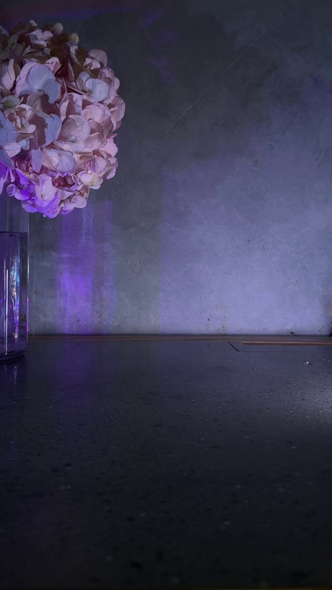 RedBox. Креативное агентство и видеопродакшн by Анастасия Садовская