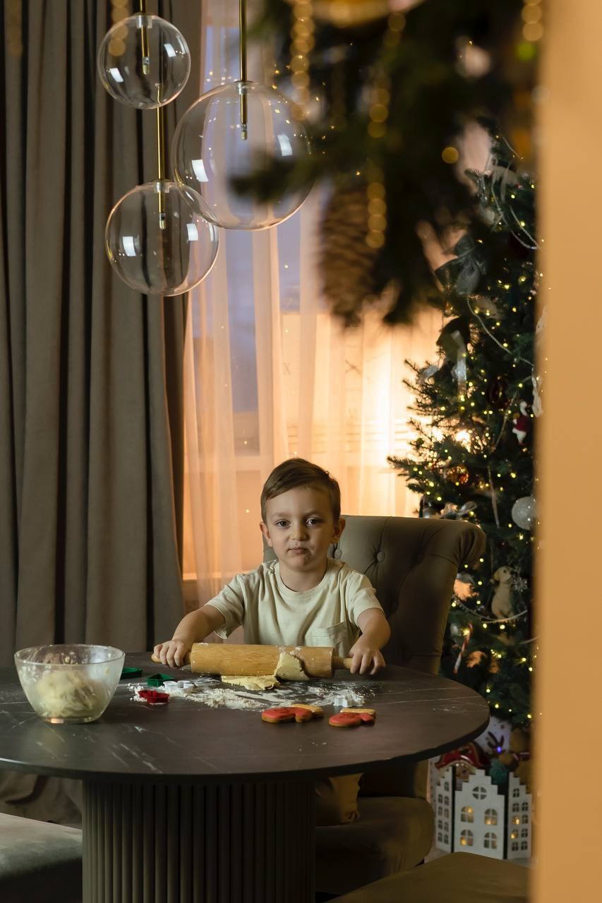 Домашние Новогодние. Brand photographer