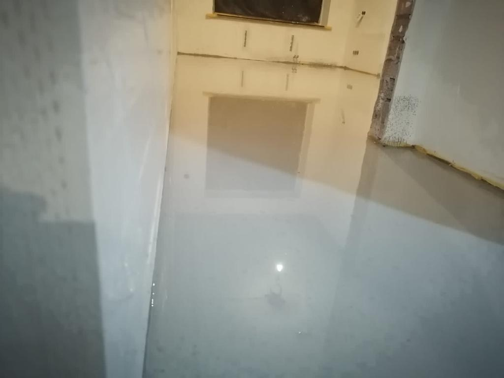 Наливной пол. Мамонт