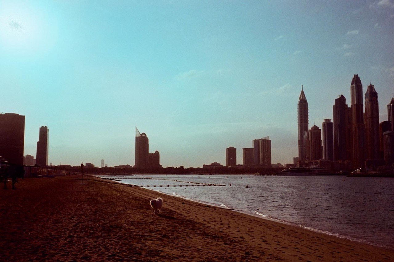 TATIANA DARINA — film photographer in St. Petersburg