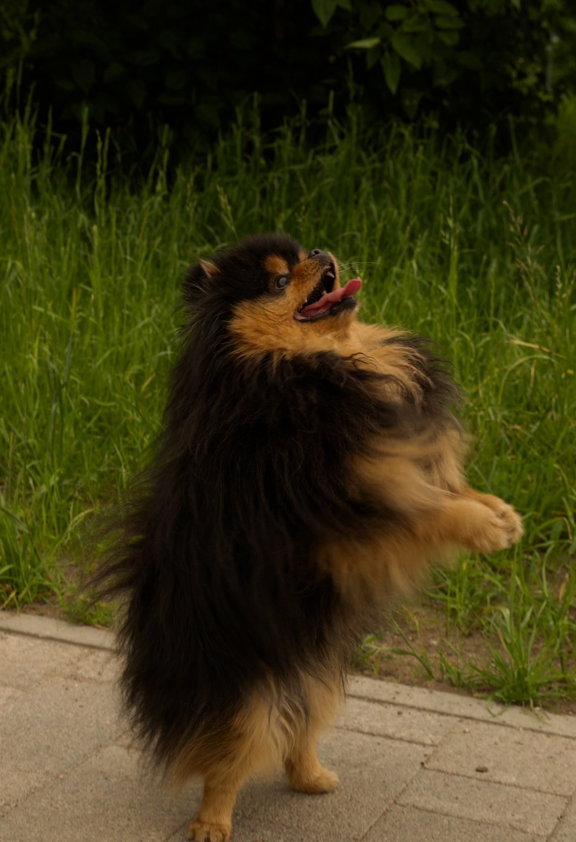 Ваш фотограф Анжелика