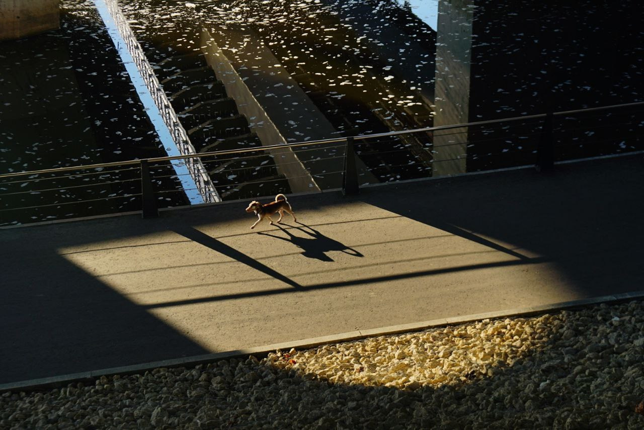 Симуляторы (Каталог № 4). Главная