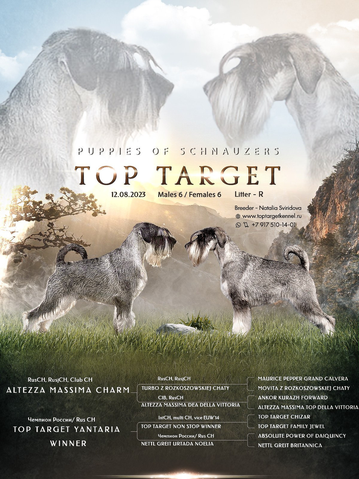 Презентации. Фотограф — анималист в Туле Юлия Лето