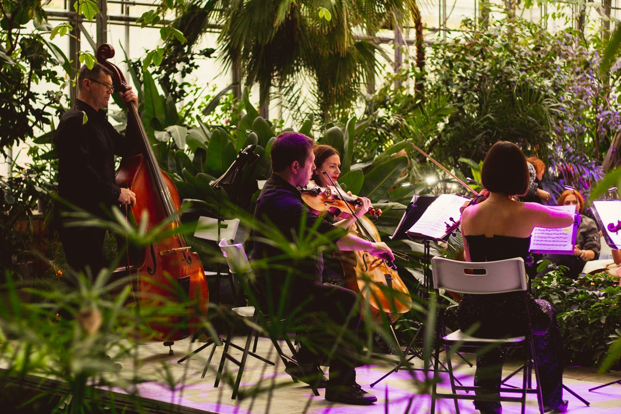 Petro Art — квартет в Таврическом саду (Рок Хиты). EvgenyCraft