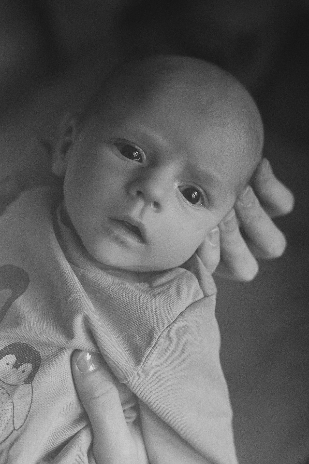 ЛЮБОВЬ В КВАДРАТЕ. КРИСТИНА ГУСЬКОВА