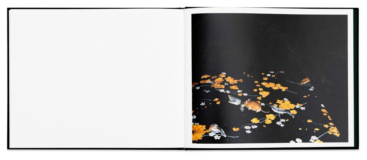 ОБЗОР АКТУАЛЬНЫХ ФОТОКНИГ: Листы I–XXXI. Самоорганизация Низина