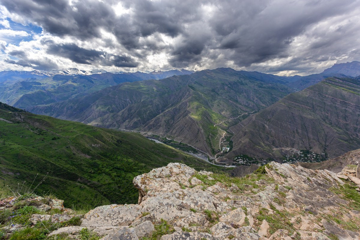 Язык Тролля. Photomantis