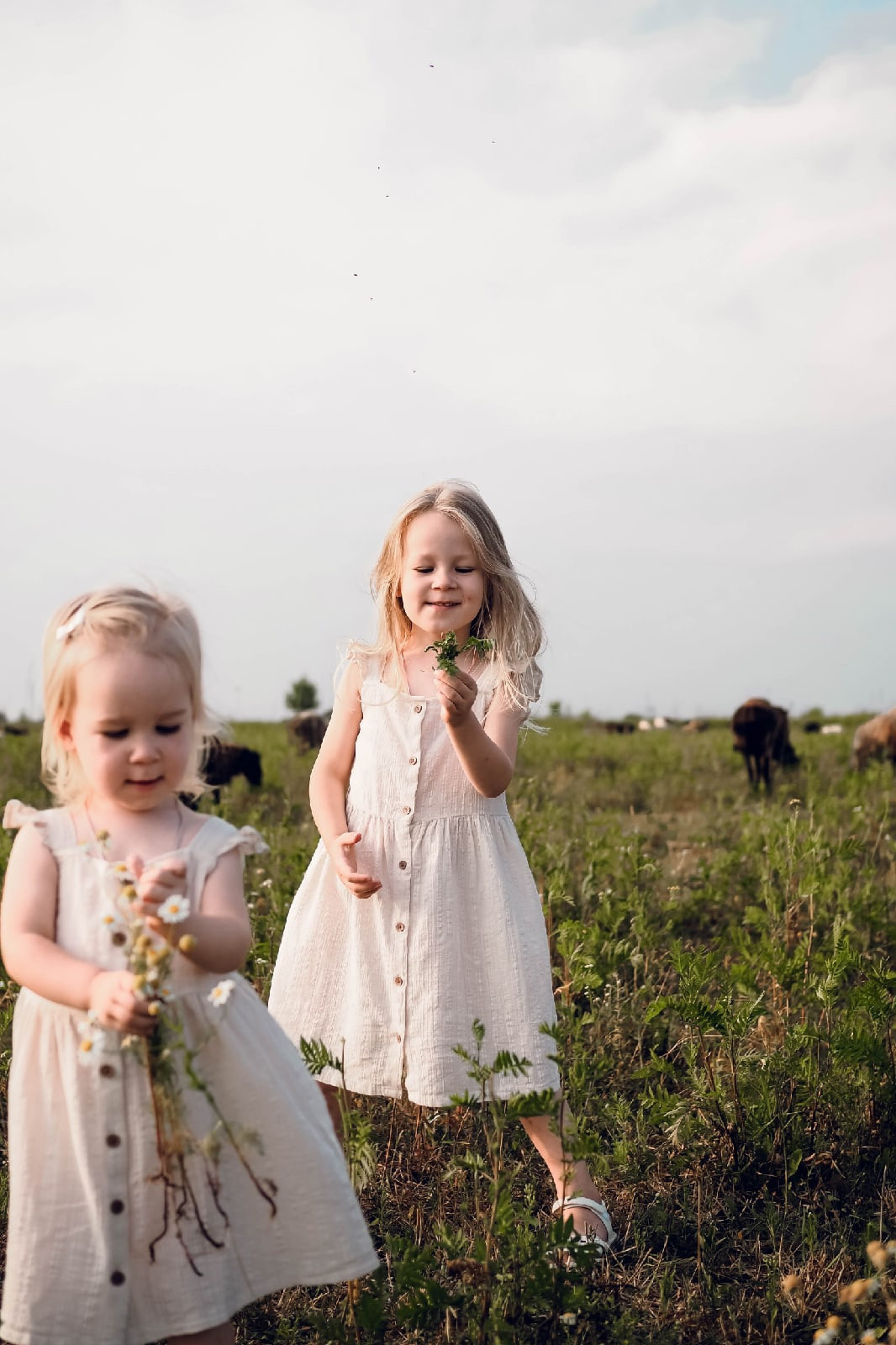 На закате. Фотограф Рязань. Семейный Свадебный фотограф