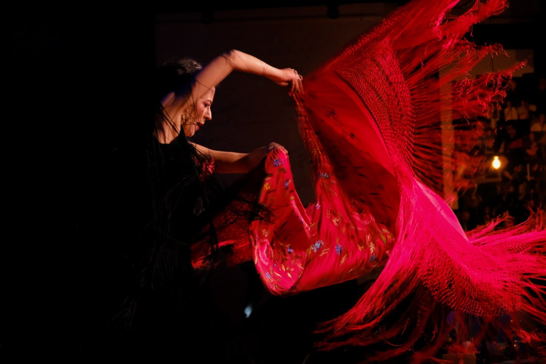 Flamenco 29.01.2023. Индивидуальные съемки, портретный фотограф