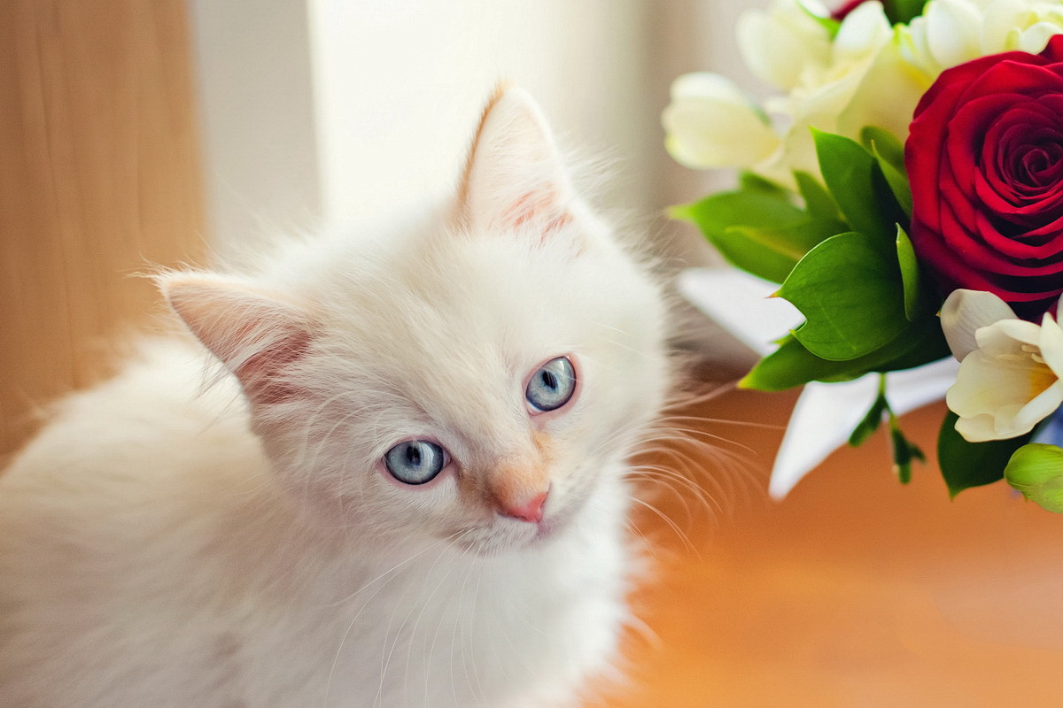 . Фотограф в Москве и Одинцово