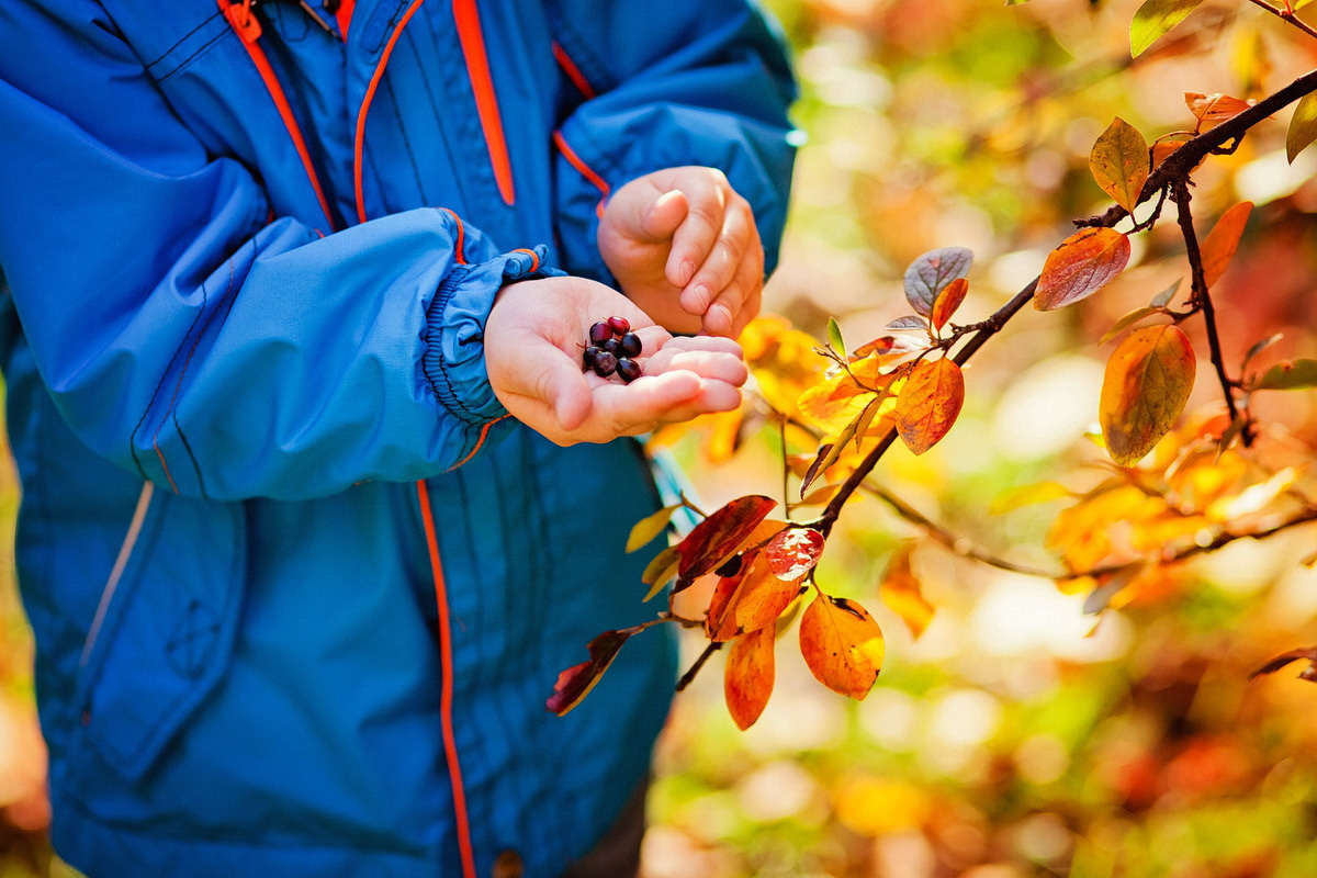 . Фотограф в Москве и Одинцово