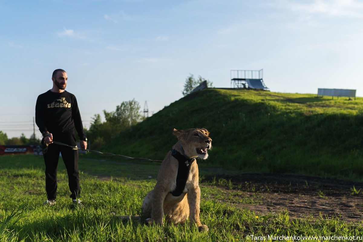 STRELKA. Репортажный и семейный фотограф в Санкт-Петербурге Тарас Марченко