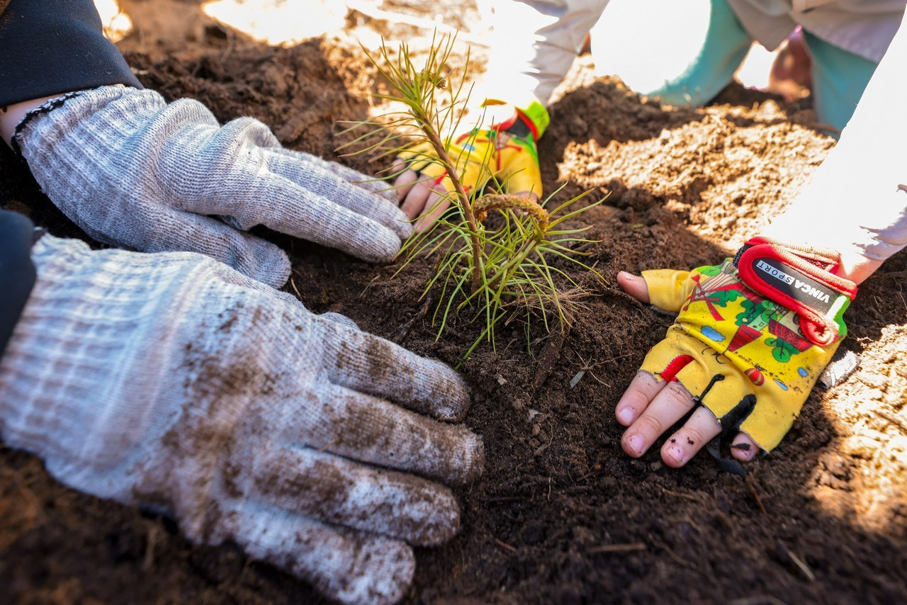 Волонтёры Лесы. Спортивный фотограф Зянтереков Антон