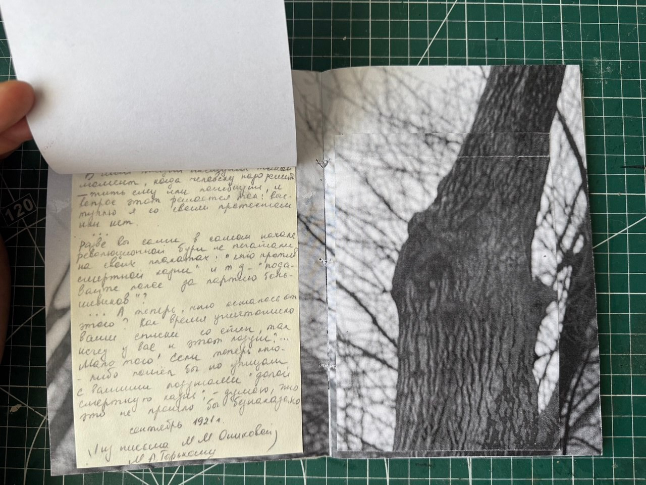 Интервью с Настей Арланцевой. Private image