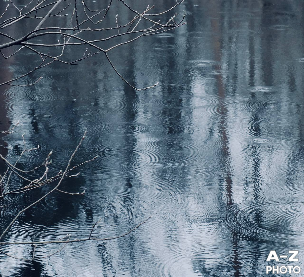 #ФОТОНЕДЕЛИ 20.04.2026. Женский семейный фотограф Тула Москва Захарова Анна