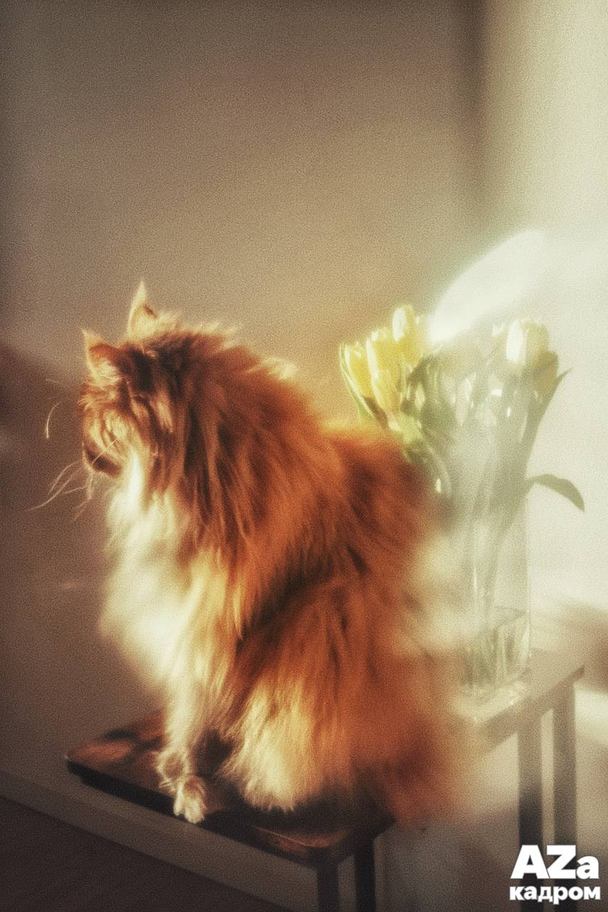 AZакадром Импрессинизм. Женский семейный фотограф Тула Москва Захарова Анна