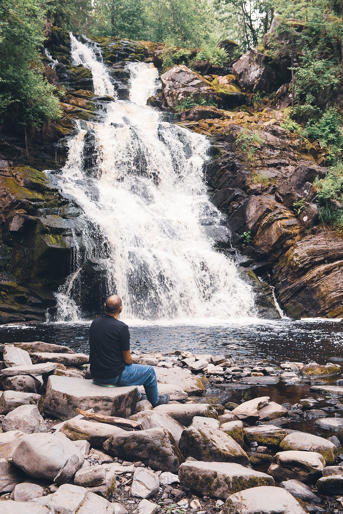 Карелия. Фотограф-анималист Наталья Светличная