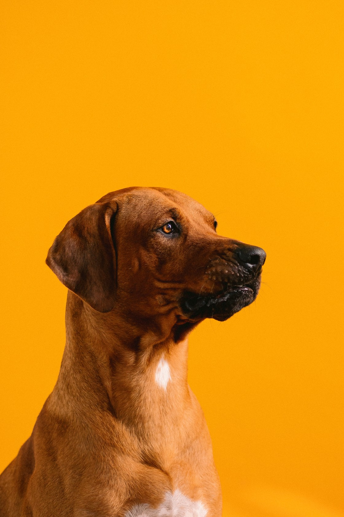 Виктория и Клинч