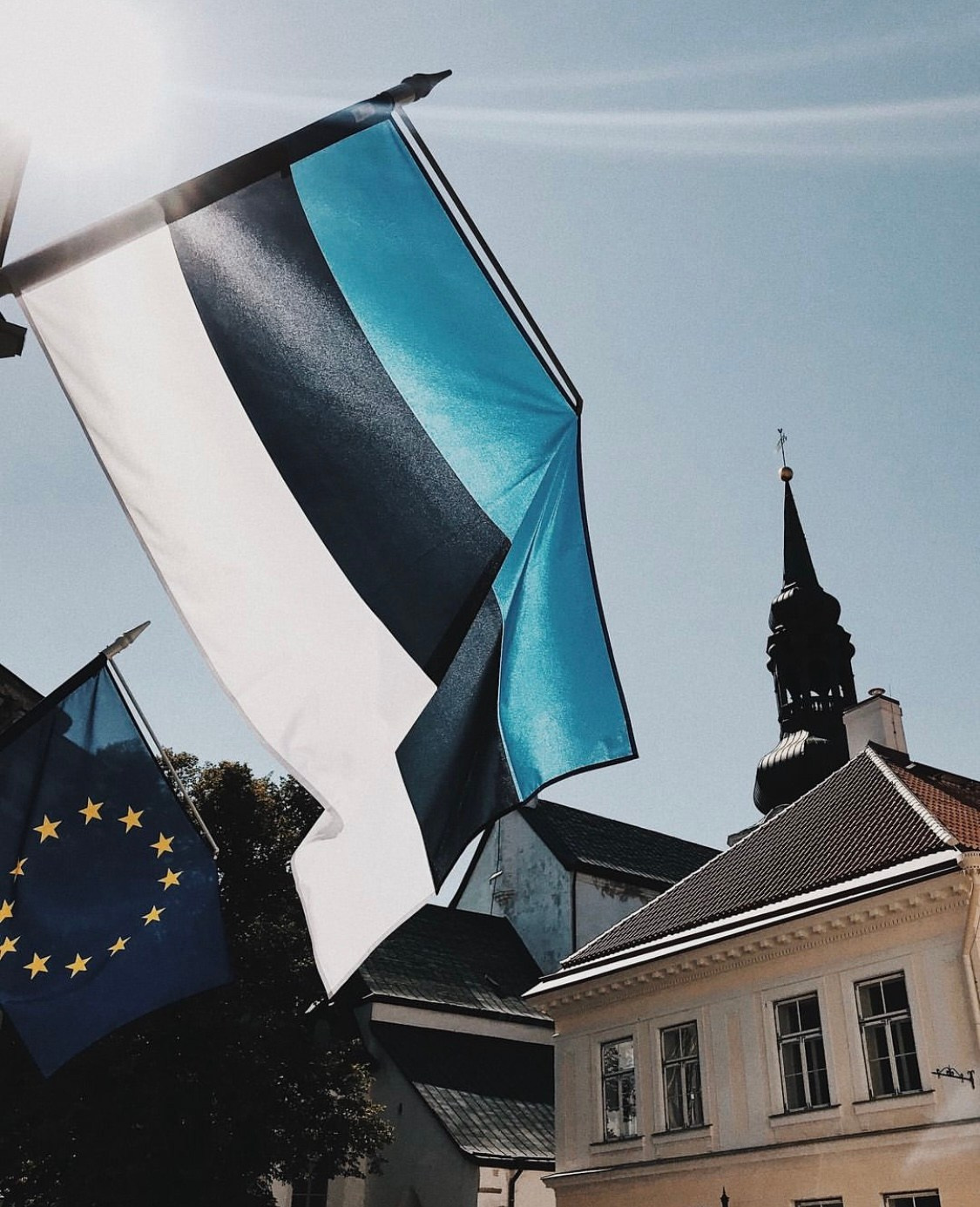 Таллин. Аня Степанова