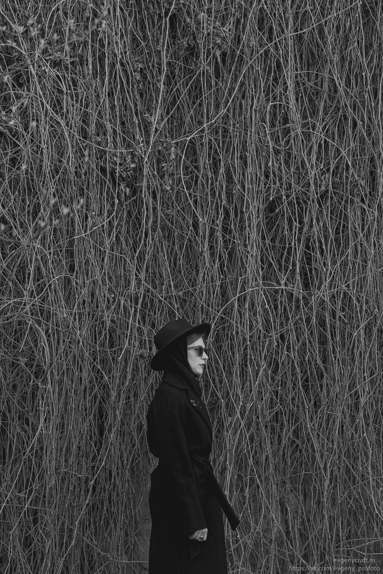 Fotoset Mary 24 apr 2026. EvgenyCraft