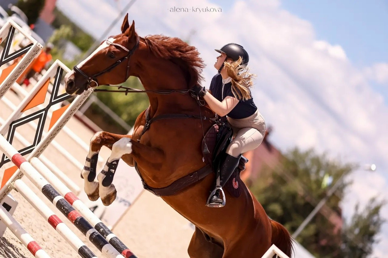 Летние соревнования. Фотосессии с лошадьми